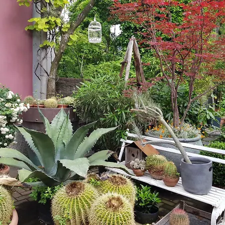 Antico Loft Διαμέρισμα Όπως